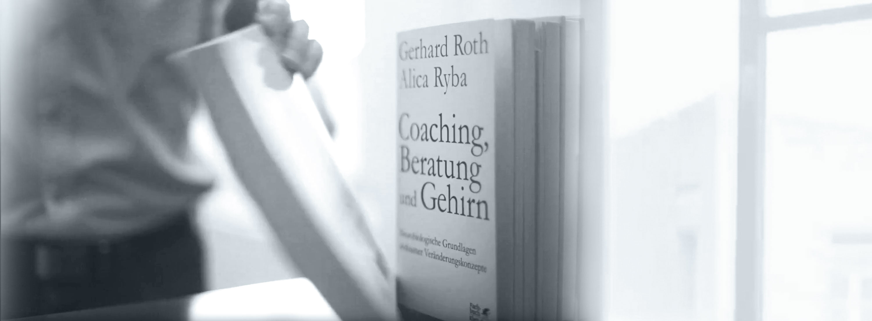 Business Coaching Ausbildung - Bücher